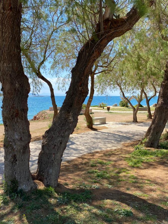 Athens-Riviera Luxury Apartment Sea View Voula Экстерьер фото